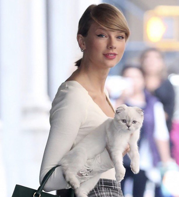 Sachi Coin tweet media