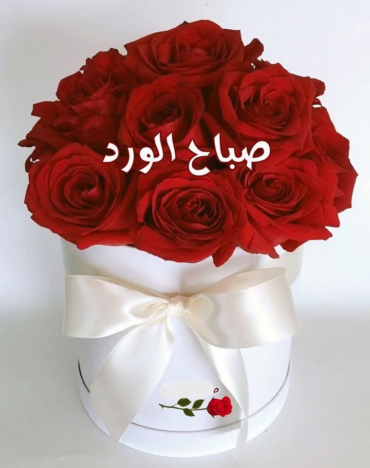 ياسر ✨ tweet media