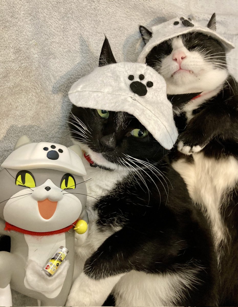 0371satomi's tweet photo. 仲ヨシ！
今日も１日ご安全に！ https://t.co/5I8Vn5RdLv
