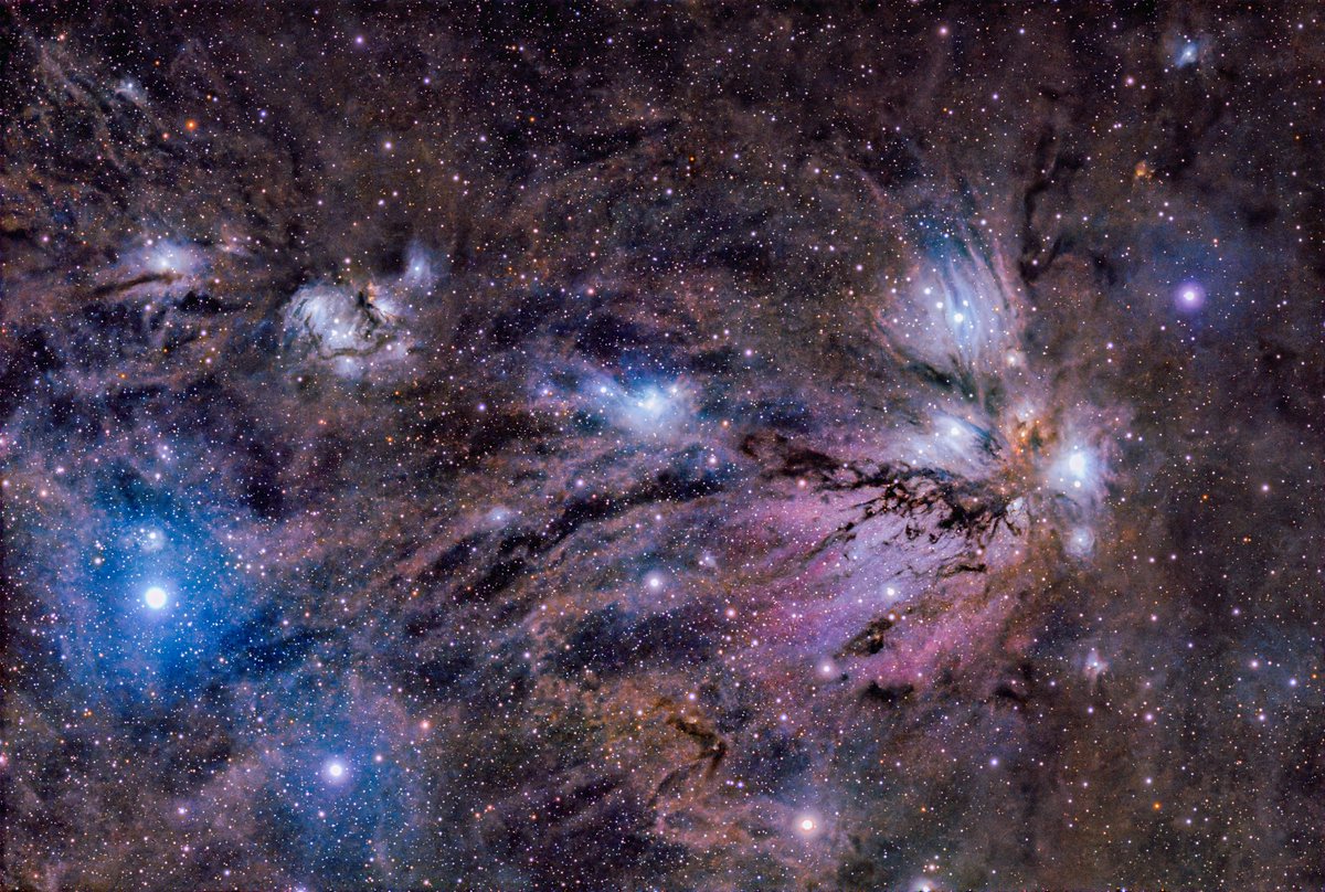 onecolor3000 (@onecolor30001) / Posts / X