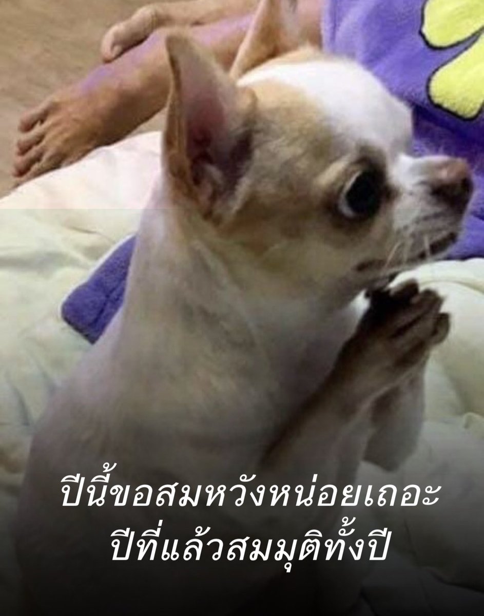 lolong___'s tweet image. ให้เถอะนะ ถือว่าฉันขออออออ