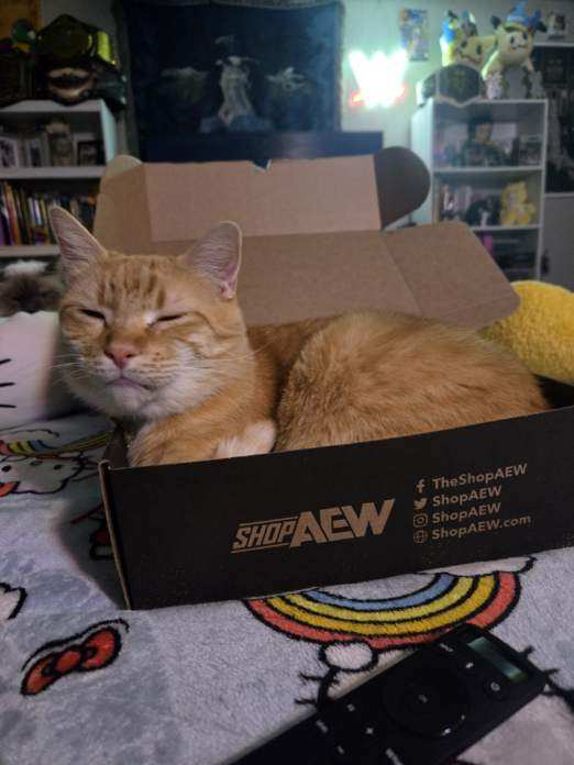 Mr. Raider tweet media