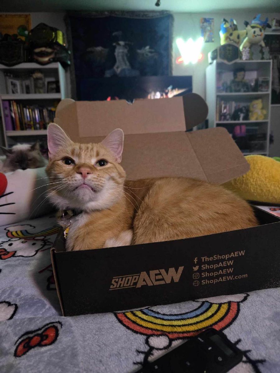 Mr. Raider tweet media