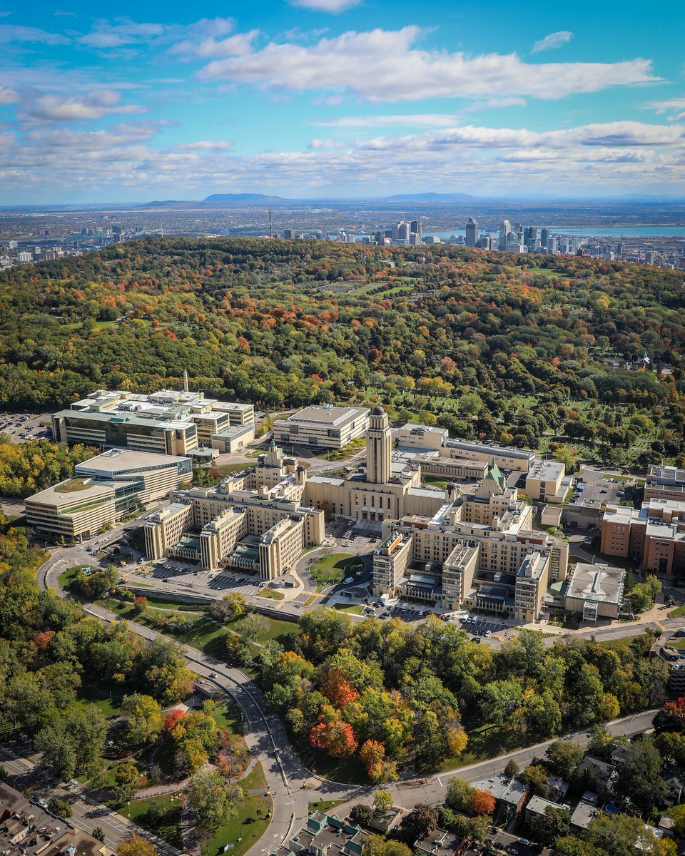 MeetMontreal's tweet image. Did you know that Montréal ranks as one of the best student cities in the world? 📚

Here are some of the reasons why Montréal gets such good grades from its student population!

╰┈➤ mtl.org/en/experience/…

📷 JF Savaria #montreal #students #cities