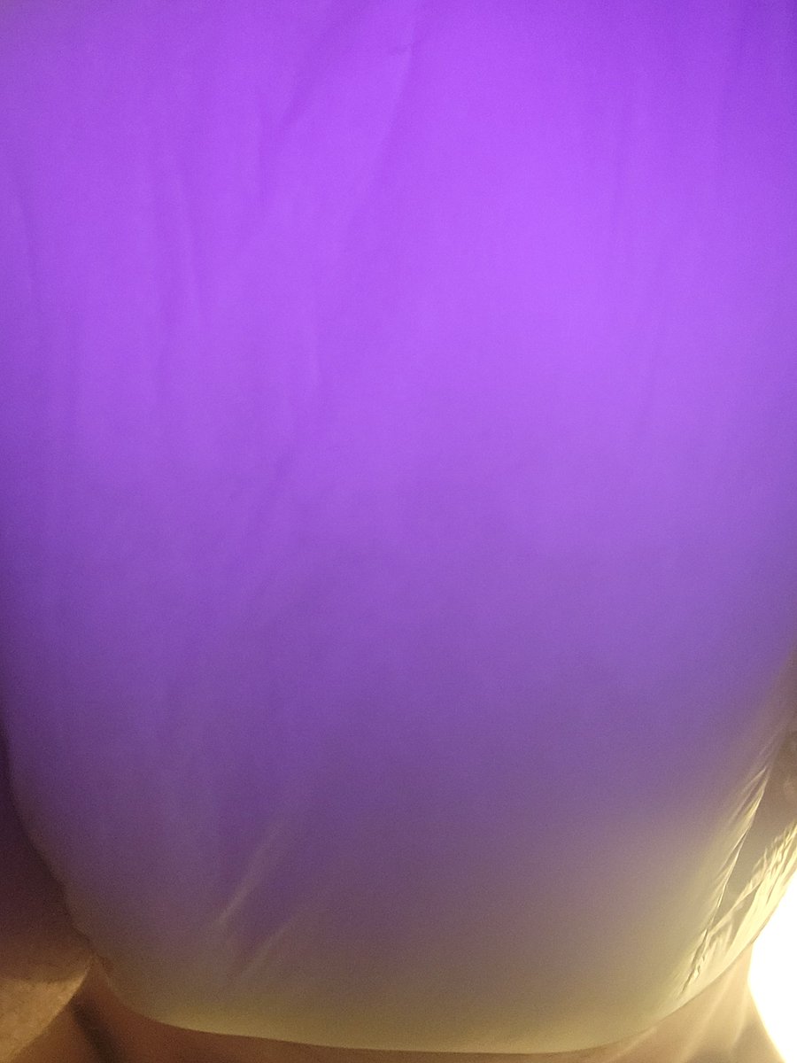 PaddedEnbyDom's tweet photo. Hey! Look at the new socks I got! Aren't they cute? I know they are basic, but they are really soft and...

Hey! Eyes up here dweeb! Stop staring at my soaked padding!

Im trying to show off my socks, dummy! Maybe a closer look will help...

....ah fuck it...lay still~ 
#abdl https://t.co/hkFnKfI2fu