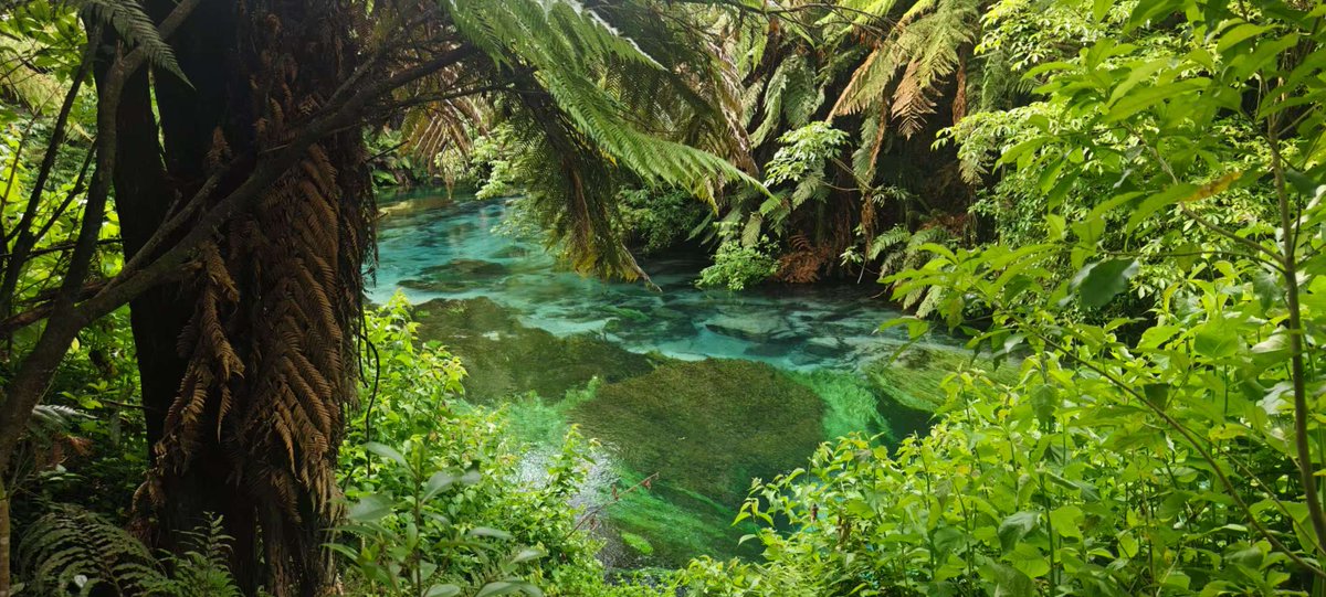 ChinaEmbInNZ's tweet image. Photo taken by Ms. Fan Jin of the Chinese Embassy. New Zealand’s vividly hued Blue Spring reminds her of Jiuzhaigou Valley back home. “Lucid waters and lush mountains are invaluable assets” — protecting nature’s gifts is a shared mission and goal for us all. #BlueSpring…