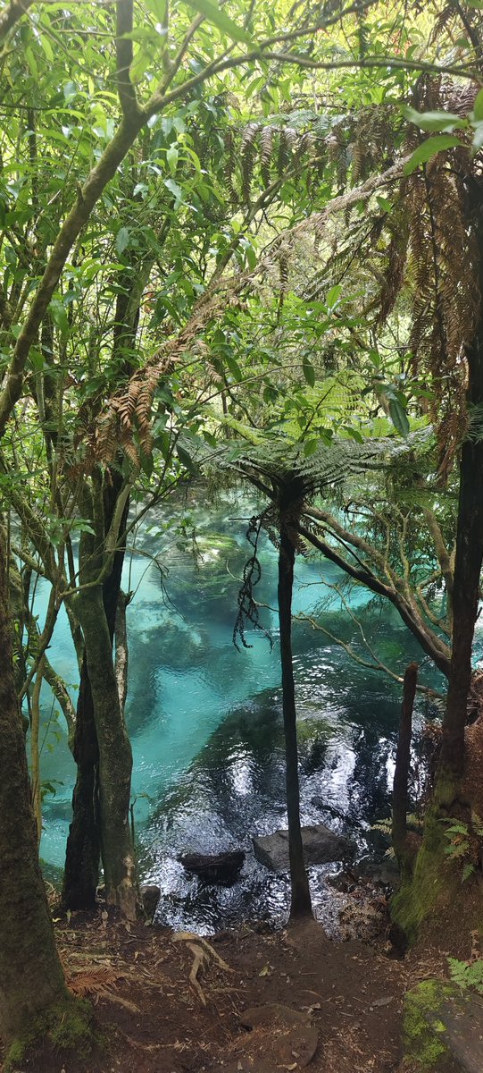 ChinaEmbInNZ's tweet image. Photo taken by Ms. Fan Jin of the Chinese Embassy. New Zealand’s vividly hued Blue Spring reminds her of Jiuzhaigou Valley back home. “Lucid waters and lush mountains are invaluable assets” — protecting nature’s gifts is a shared mission and goal for us all. #BlueSpring…