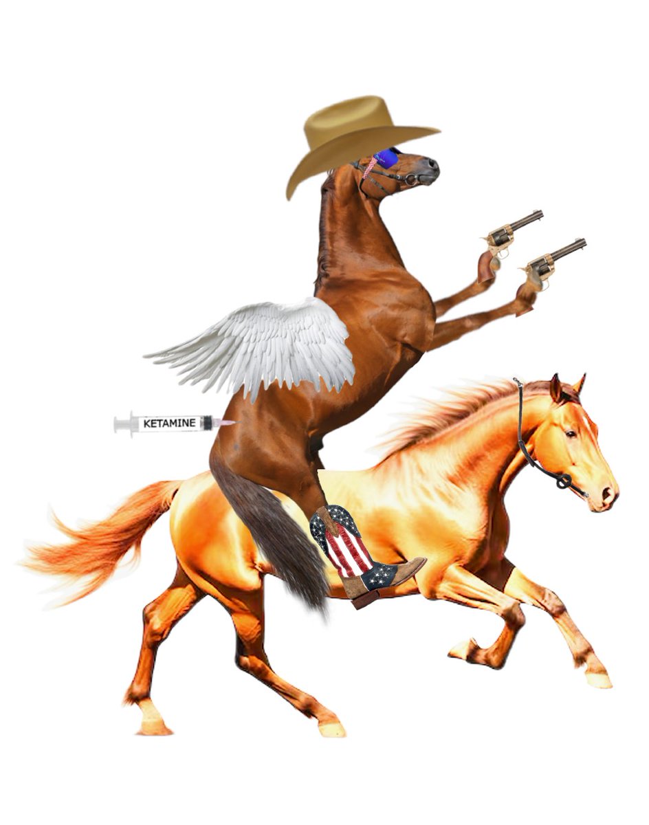 Started adding to the meme depot. I'll keep updating. 

(If NSFW is turned off, some will be blurred on the site)

memedepot.com/d/ket-horse

#fkh <a href="/finnbags/">FINN</a>