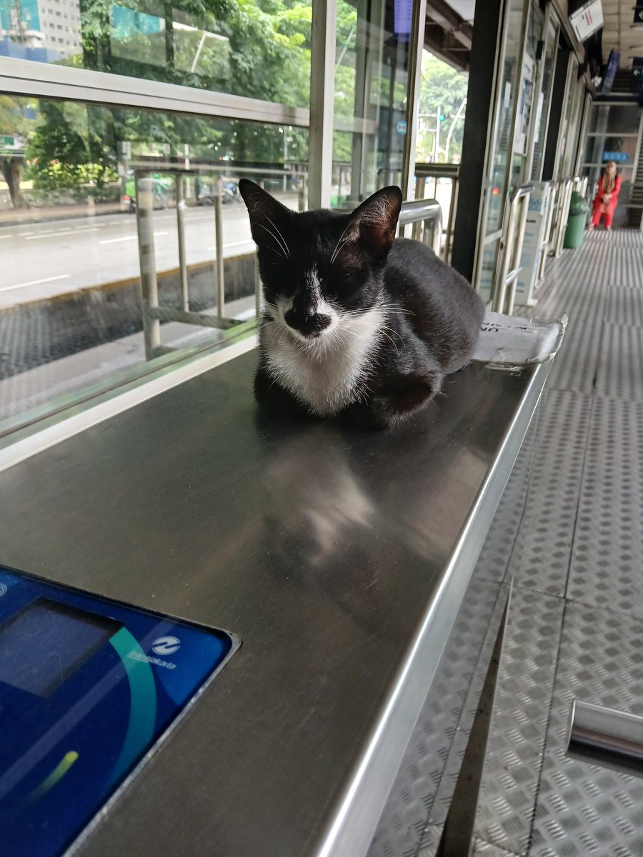 adriantom25's tweet image. saya mau komplain ttg kinerja transjakarta, tadi pagi ada karyawan yang malah tidur saat bertugas, harap dibenahi agar tak terjadi lagi ya @shitpostrans