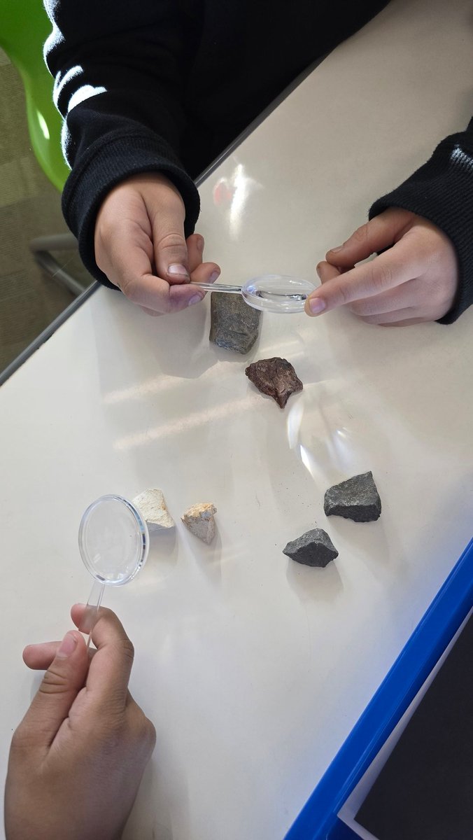 MzJd ❤🐢📚☕🐝 tweet media