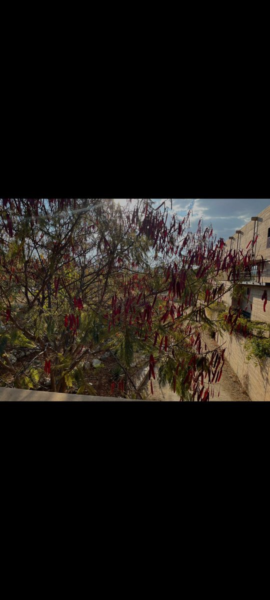 Yaneth Molina tweet media