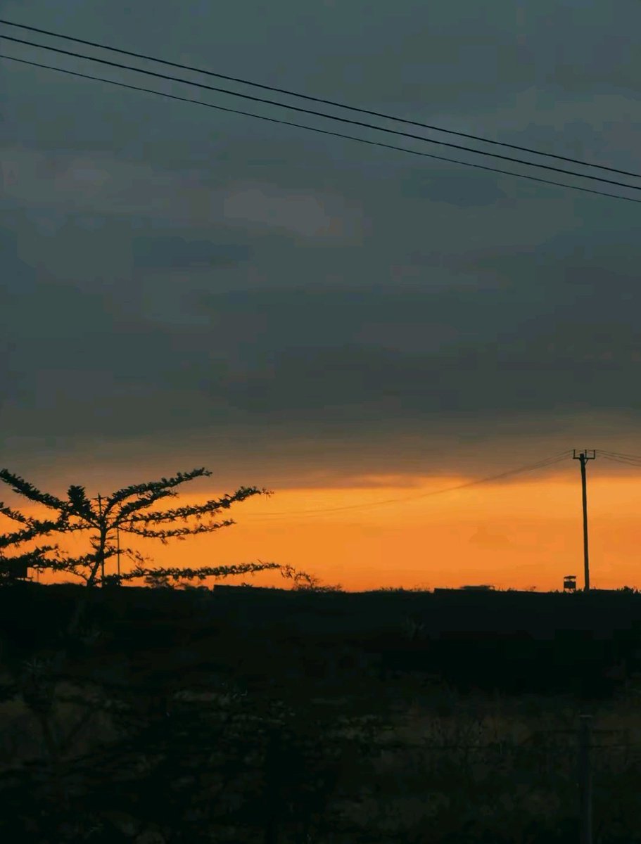 WildCanvas tweet media