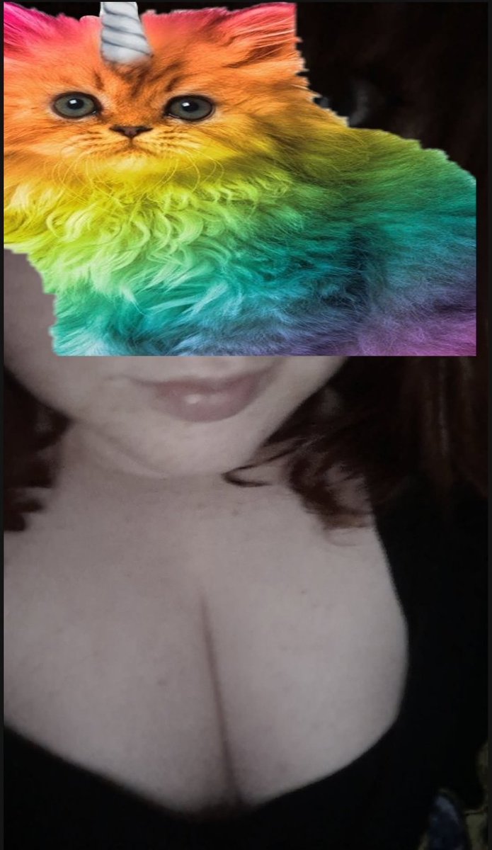 boobies PLUS KITTYCORN #boobies #rainbowcatunicorn #unicorn #nsfwtwt