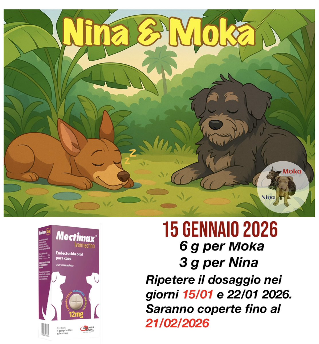 Secondo dosaggio Anti vermicida, pulci e scabbia. Ripeterlo giovedì 22 gennaio.

#Nina #Moka #MyDog #IlMioCane #Cachorro #ViraLata #Meticcio #DogLover #MyDog  #Miglioreamica #BoaNoite #petspamanaus #Meticcio #ventilator #Bravecto