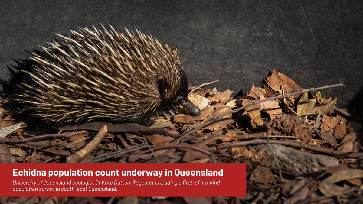 Queensland Science tweet media