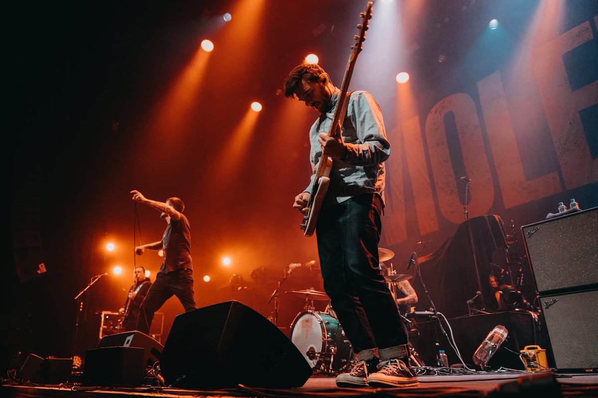 tim every hour 🎸 (@hourlytimpayne) on Twitter photo 