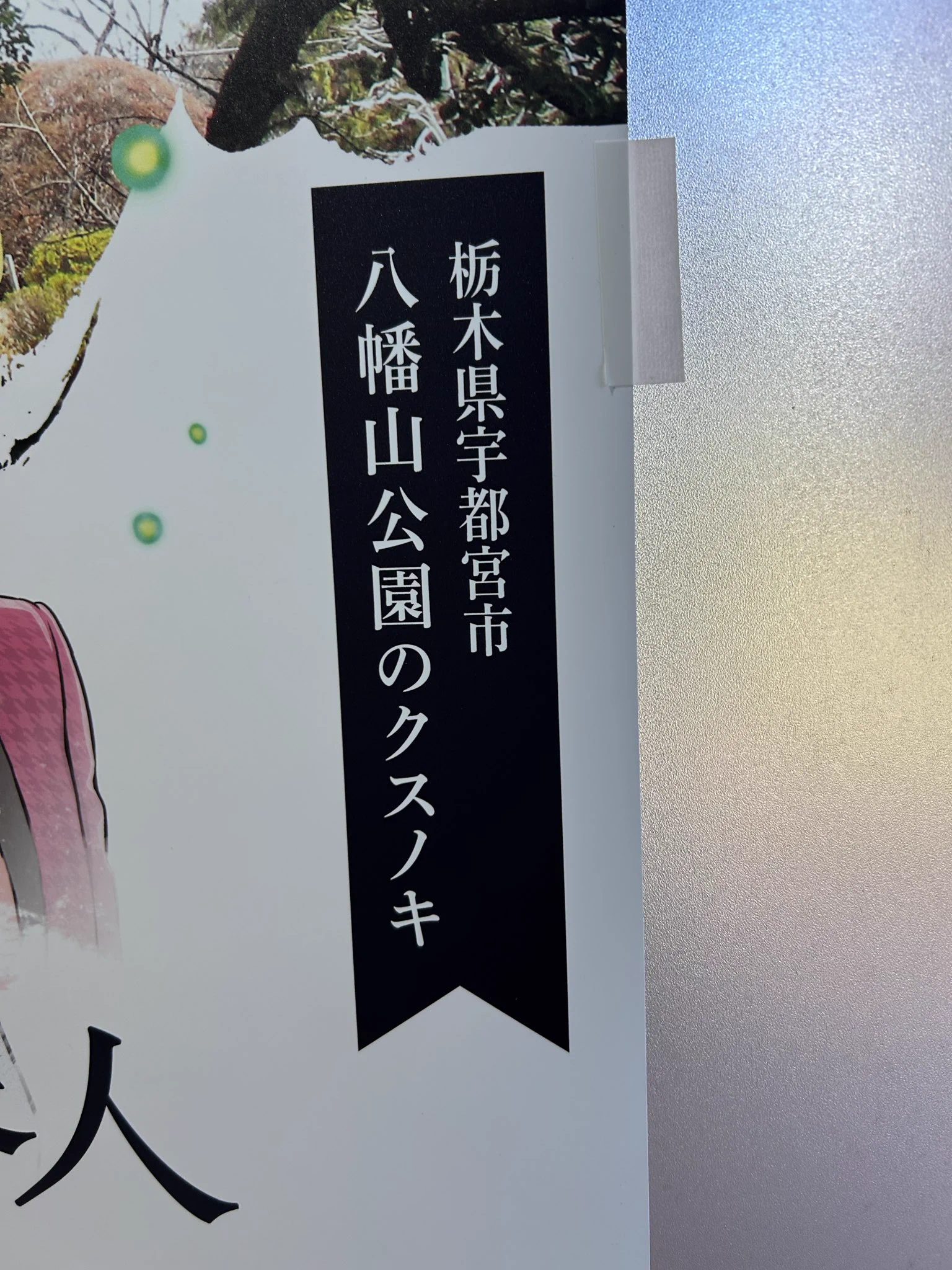 公式】八幡山公園 on X: 
