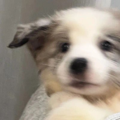 蒲西乐园🎡｜翘佳人🍑 tweet media