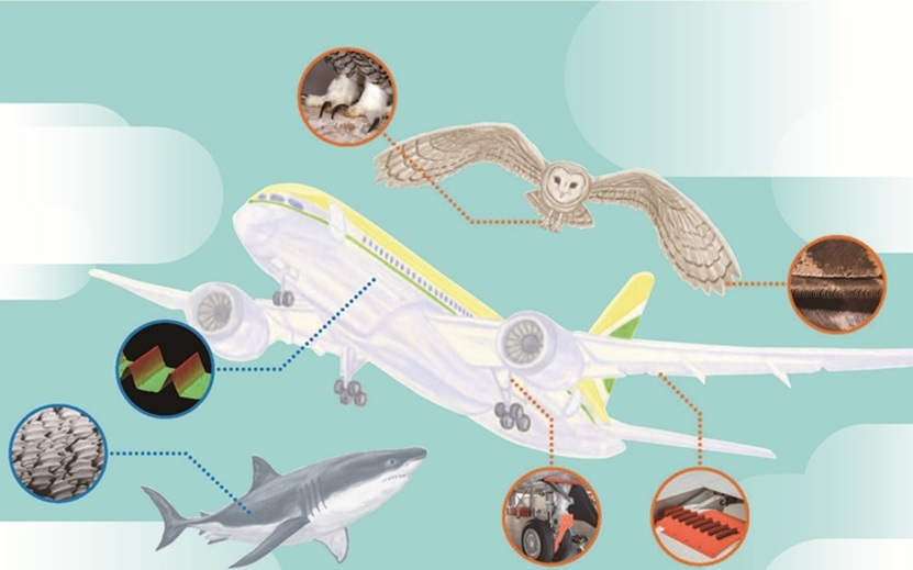 jaxa_aero's tweet image. 📢 JAXA’s最新号（No.102）に注目！

航空技術に関する記事が2本掲載されています✈️

🦉 「空のエンジニアリングと、生き物たち」🦈
✈️ 「航空機DXプラットフォームの構築が進行中」
fanfun.jaxa.jp/jaxas/no102/fi…

#JAXA #航空技術 #DX #リブレット #機体騒音低減　#研究開発