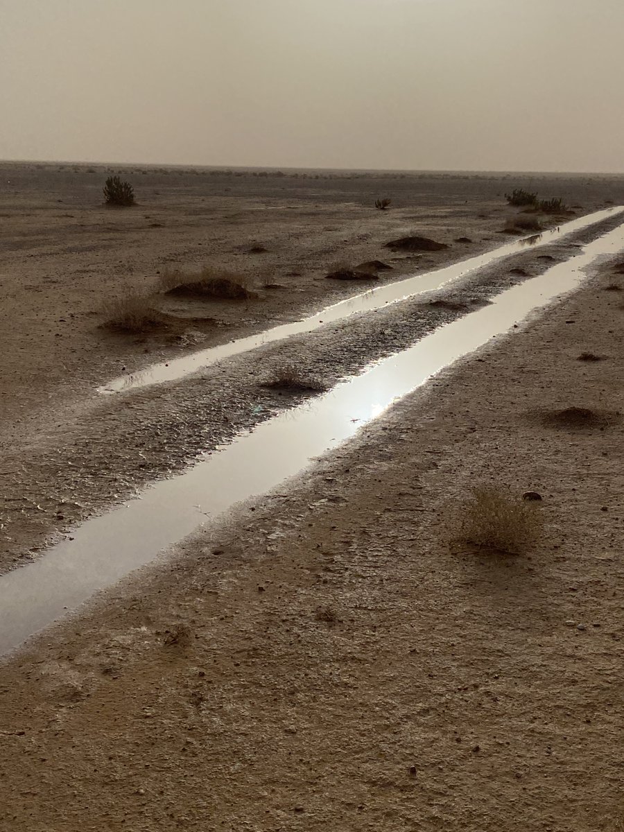 aboabdullah2121's tweet image. اثر المطر فجر اليوم جنوب البرة