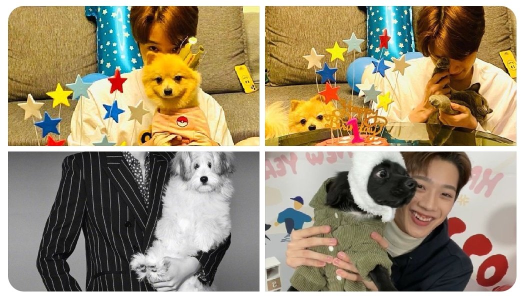 NAUR SEEING GUANLIN WITH PETS

REMINDS ME OF LAI FAMILY 🥺 i miss youuu sm lai pi, lai zhang, lan mei, lai chuang