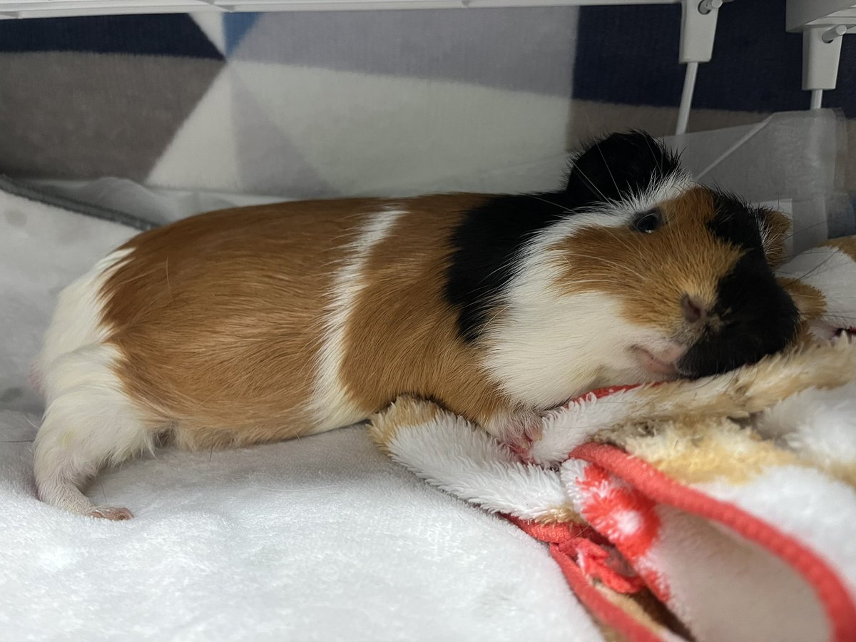 可愛すぎるナーー‼️‼️👶