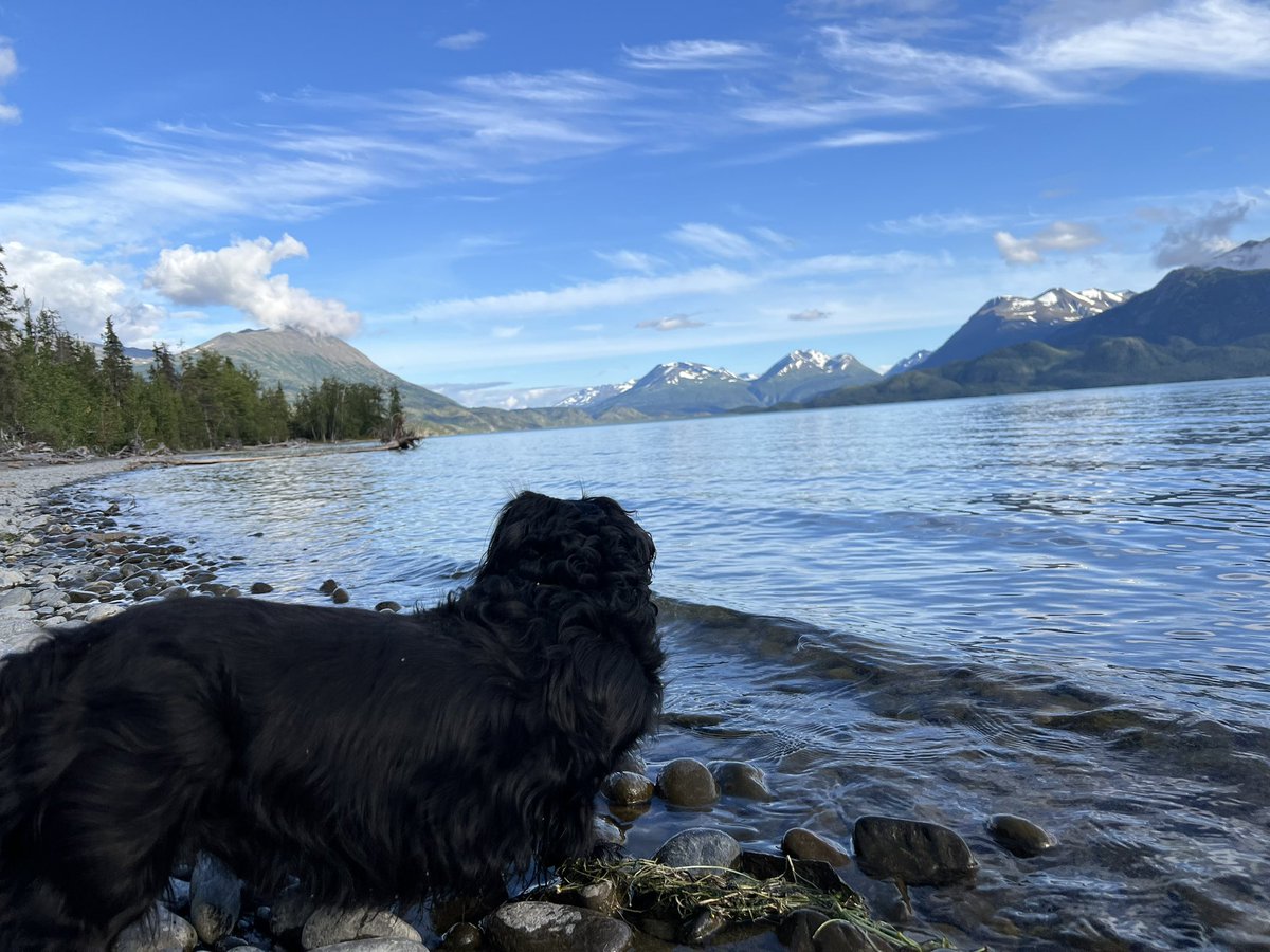 HaroldoftheRocks tweet media