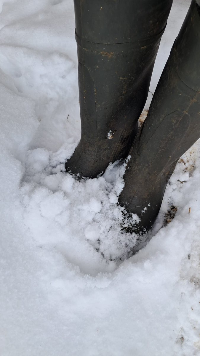 Seppi90 (@seppi88605) on Twitter photo 