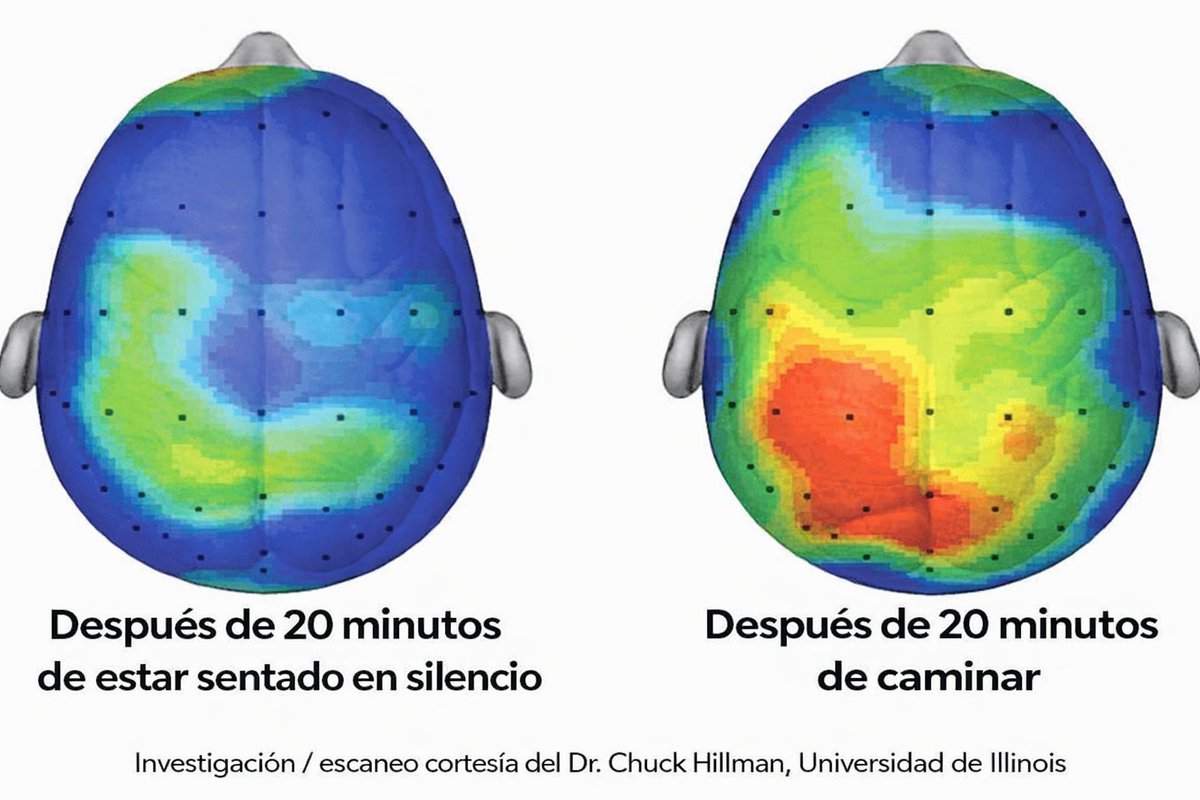 Sr. Lobo • Hábitos Millonarios tweet media