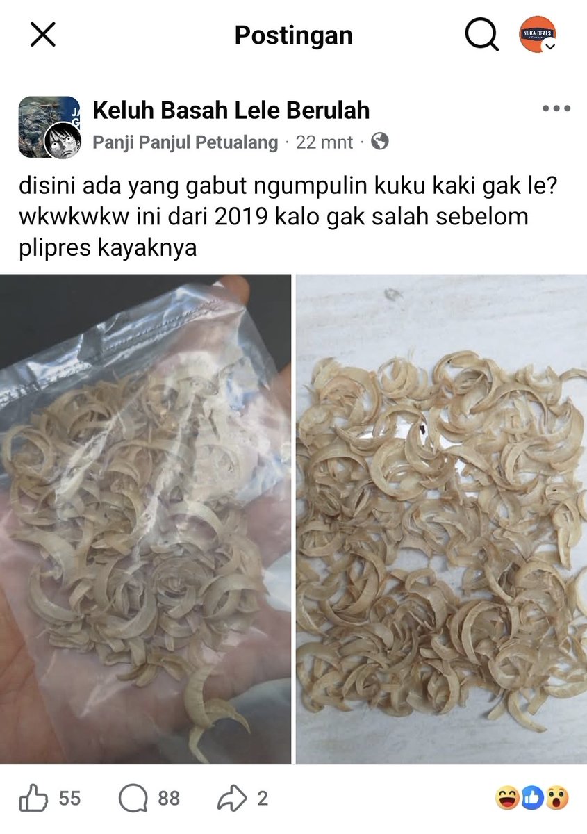 Ada aja kebiasaan aneh makhluk Bumi