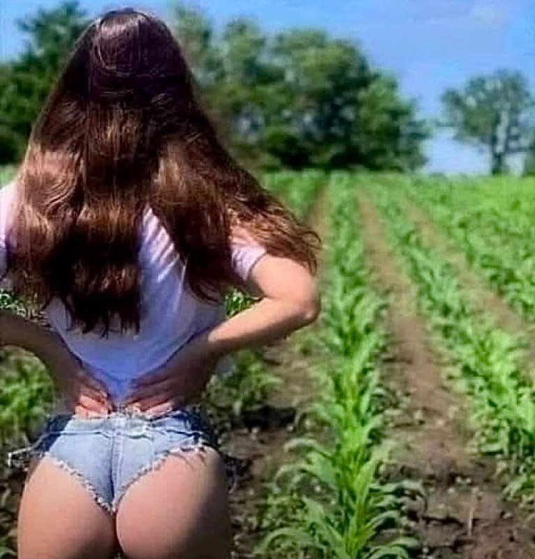 Lucky8904013's tweet photo. Please take a moment to thank our farmers for growing the foods we eat! https://t.co/npqrLyAOig