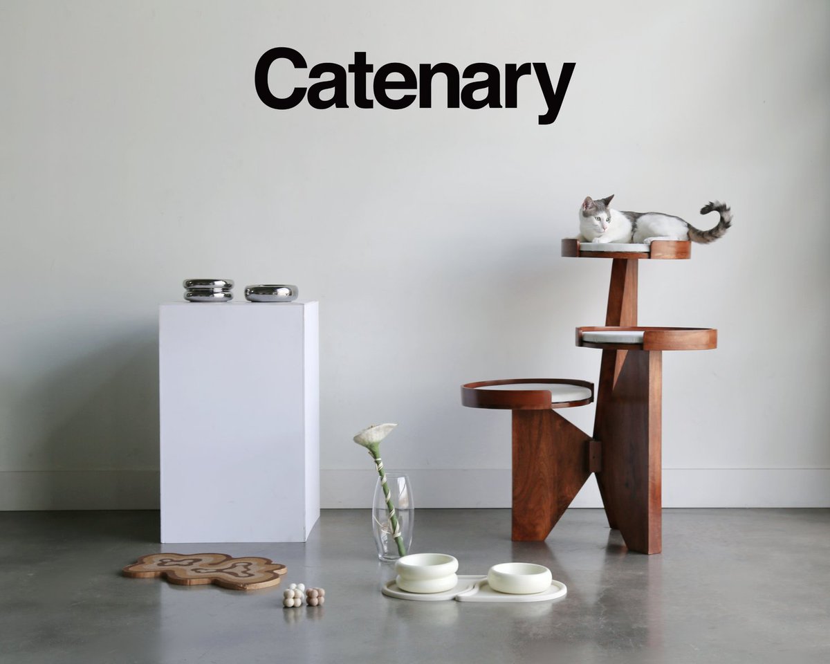 【日本初上陸】Catenary、日本で正式デビュー。株式会社Katteが日本総代理店として正規展開を開始（2026年1月〜） prtimes.jp/main/html/rd/p…