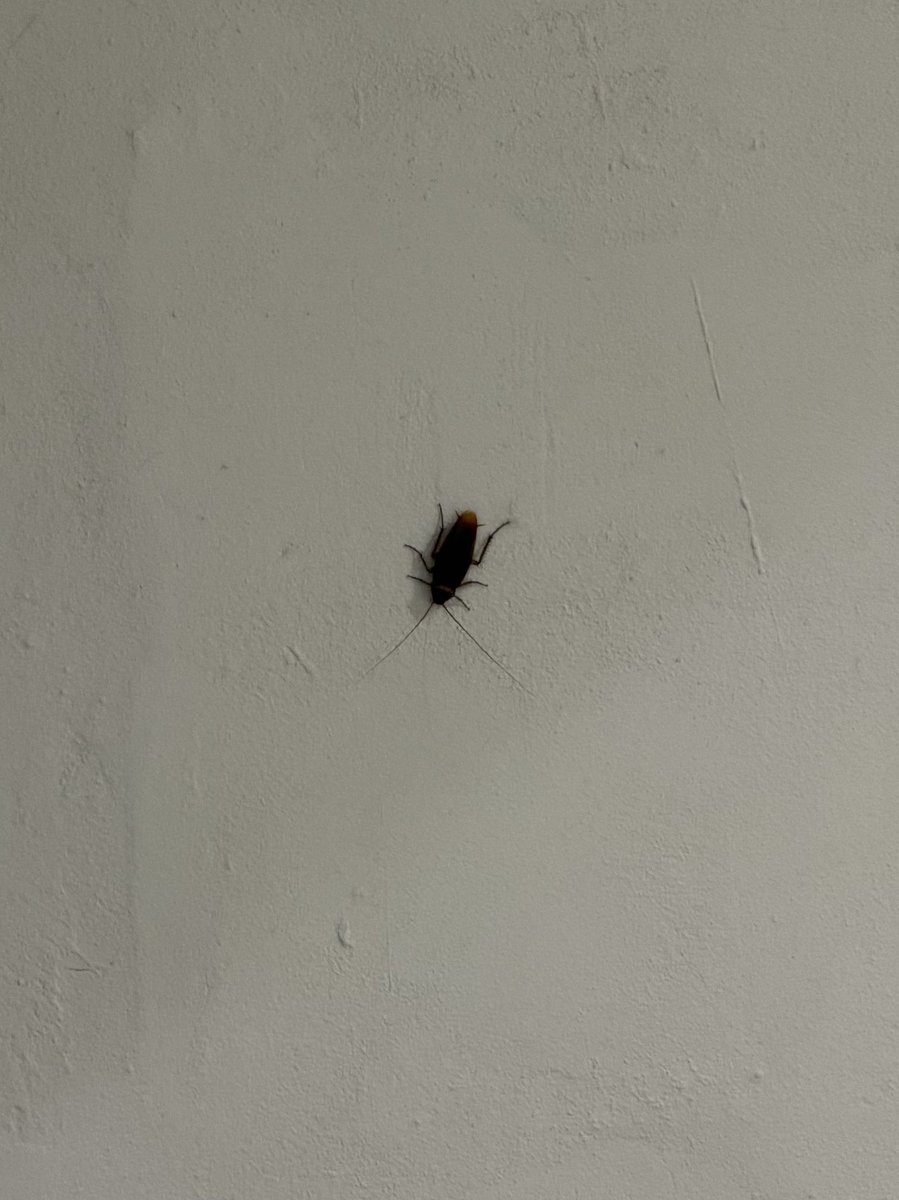 อาจารย์ครับพีขอไปเรียนสายนะครับ
(ไม่กล้าขยับกลัวมันจะบิน) #PHEE_CIRCRL  #CIRCRL