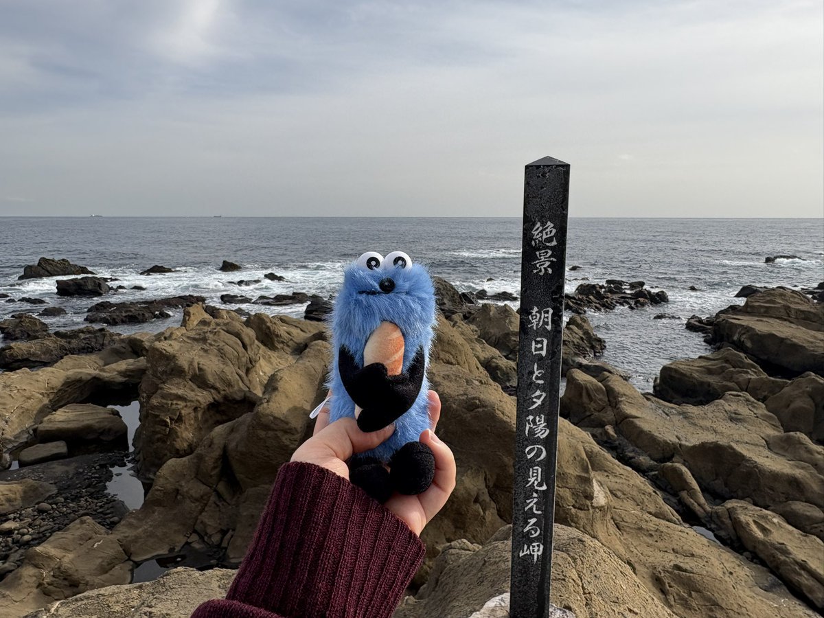 橘花 (@muki_nichika) on Twitter photo 