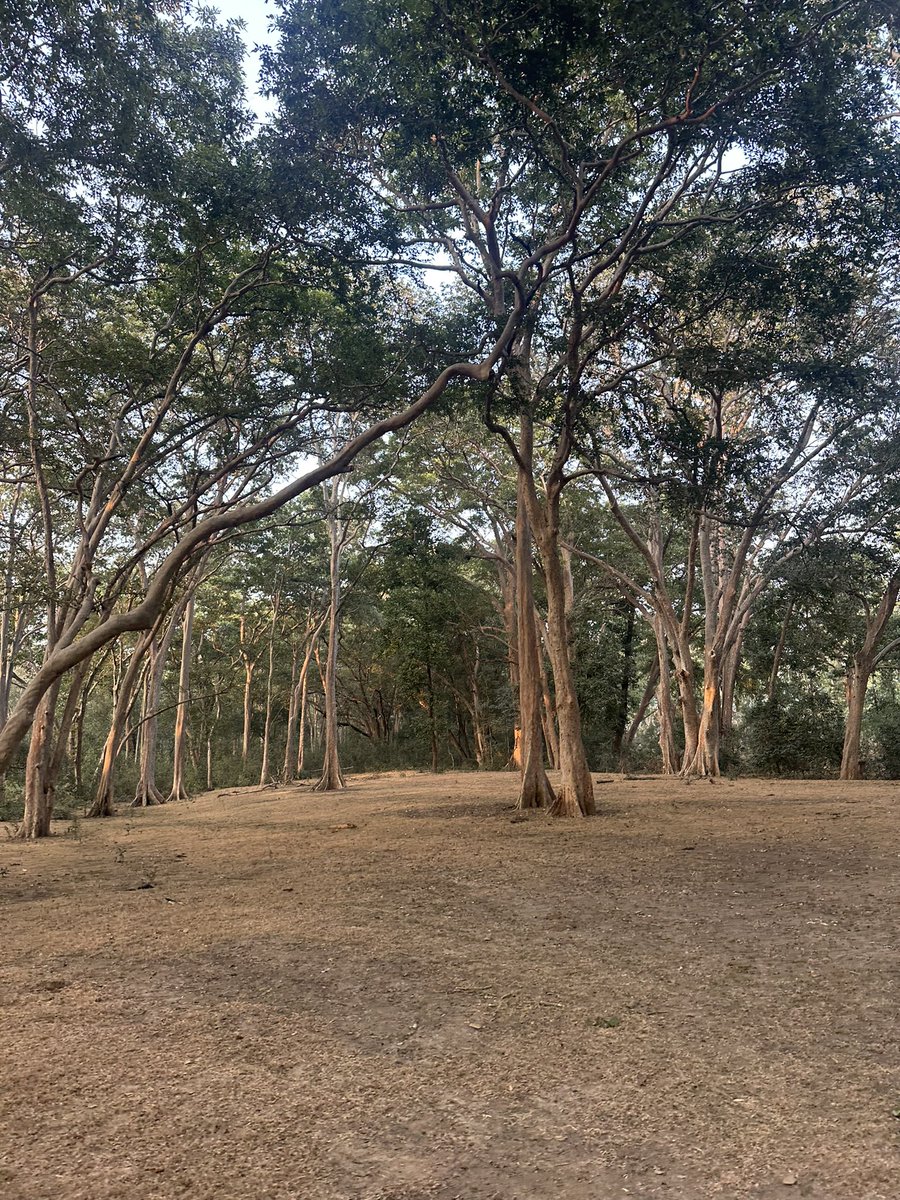 thebharatpur's tweet photo. Good morning 🙏🪁♥️ https://t.co/MffPIATwQY