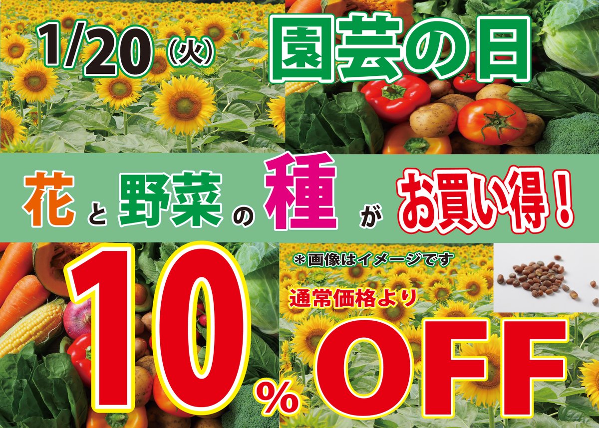 ホームセンターさくもと【公式】 (@hcsakumoto) / Posts / X