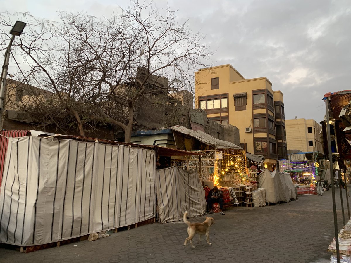 simplementhings's tweet image. morning walk