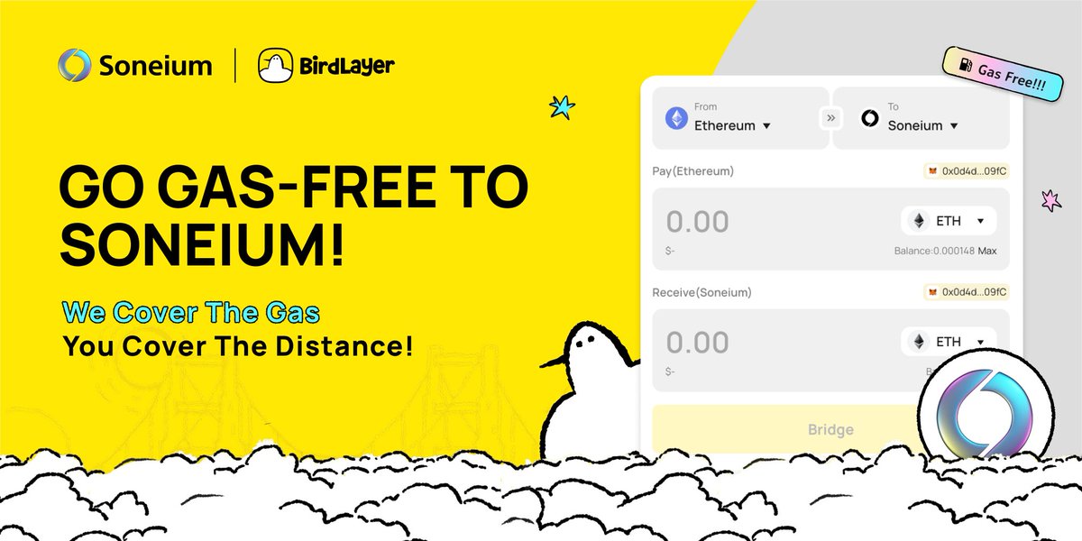 BirdLayer tweet media