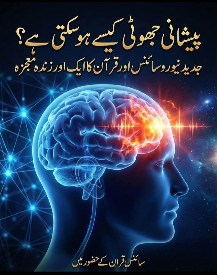 پیشانی جھوٹی کیسے ہو سکتی ہے؟ جدید نیورو سائنس اور قرآن
کا ایک اور زندہ معجزہ 🧠✨

کیا انسان کا جسم جھوٹ بولتا ہے یا اس کی روح؟ کیا "پیشانی" (ماتھا) گناہ گار ہو سکتی ہے؟
آج سے چودہ سو سال پہلے، مکہ کی سرزمین پر جب بدترین دشمنِ اسلام "ابو جہل" نے نبی کریم ﷺ کو نماز پڑھنے سے