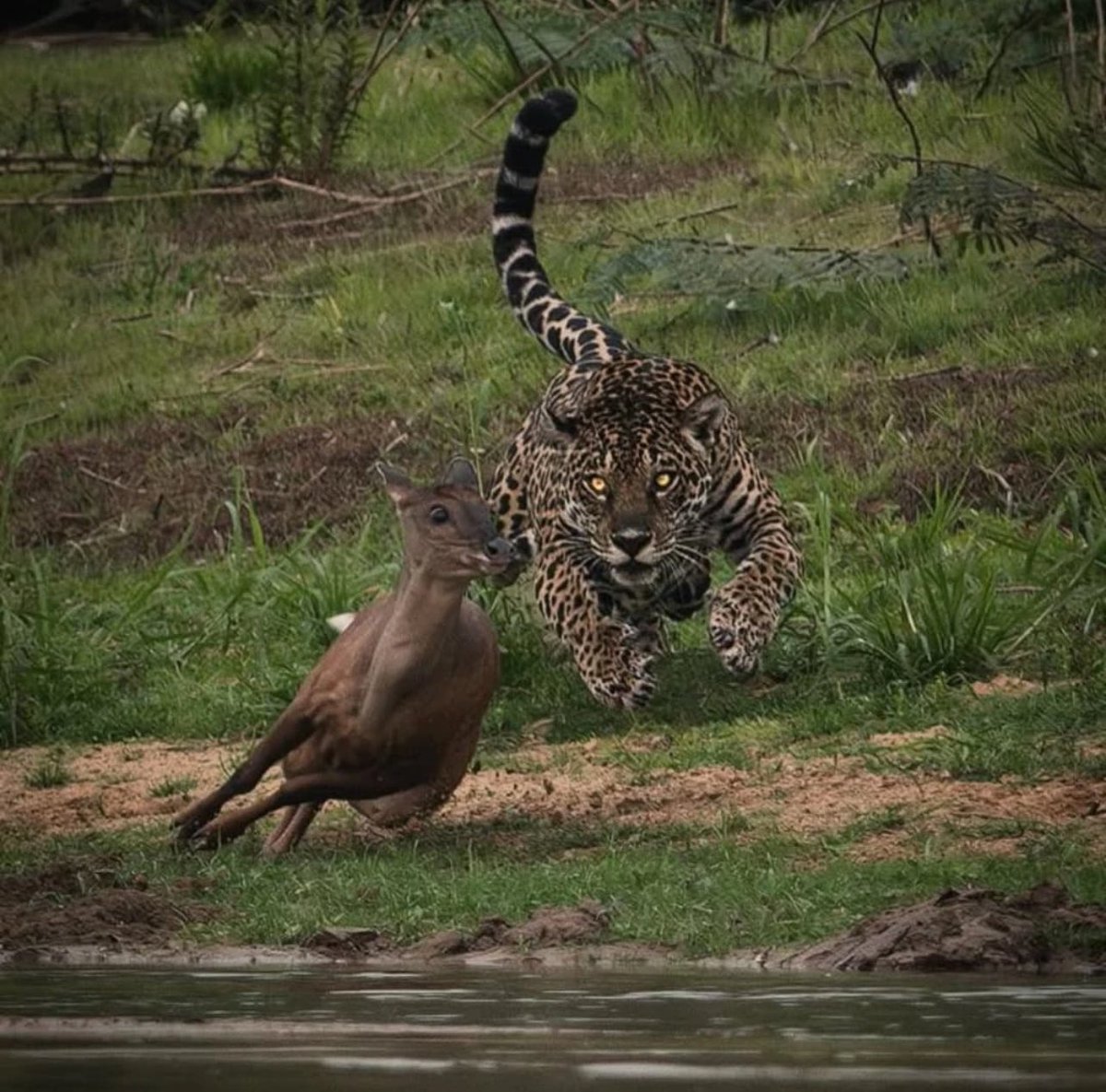 Aramiz Sinday Calumpang tweet media