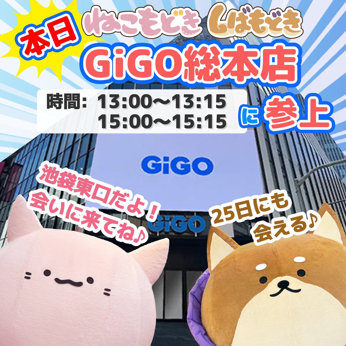 庭猫もる (@mogeyamamolx) / Posts / X