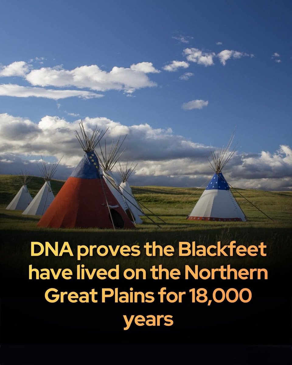 ShiningScience's tweet photo. Evidence confirms indigenous people have inhabited their lands for over 18,000 years. 🤯

Scientific DNA evidence confirms the Blackfeet Nation has inhabited their ancestral lands for over 18,000 years, predating modern borders and treaties.

The Blackfeet, or South Piikani, have long maintained that their lineage on the land spans back to time immemorial, a claim validated by 2023 DNA evidence confirming an 18,000-year presence in the region. As one of the four tribes of the Blackfoot Confederacy, they once managed a vast prairie ecosystem stretching from Canada to Yellowstone. Their ancestral expertise involved sophisticated ecological management, such as using controlled fires to stimulate new grass growth for bison herds. This deep-rooted connection to the environment not only sustained their population but is believed to have given them their name, as their moccasins became stained black from walking the charred soil of the prairies they carefully tended.

Despite their extensive history, the 19th century brought significant upheaval as treaties and territorial shifts systematically reduced their land. The 1888 Sweet Grass Hills Treaty and the subsequent 1896 forced cession of mountain lands—now known as Glacier National Park—drastically altered their geographic footprint. However, the Blackfeet people have remained resilient, with over 10,000 members currently living on a 1.5 million-acre reservation bordering the park. Today, the tribe continues to serve as stewards of the Rocky Mountain Front, actively preserving their native language and cultural traditions that have been shaped by eighteen millennia of continuous residence on the same soil.

Source: University of Montana. Blackfeet.