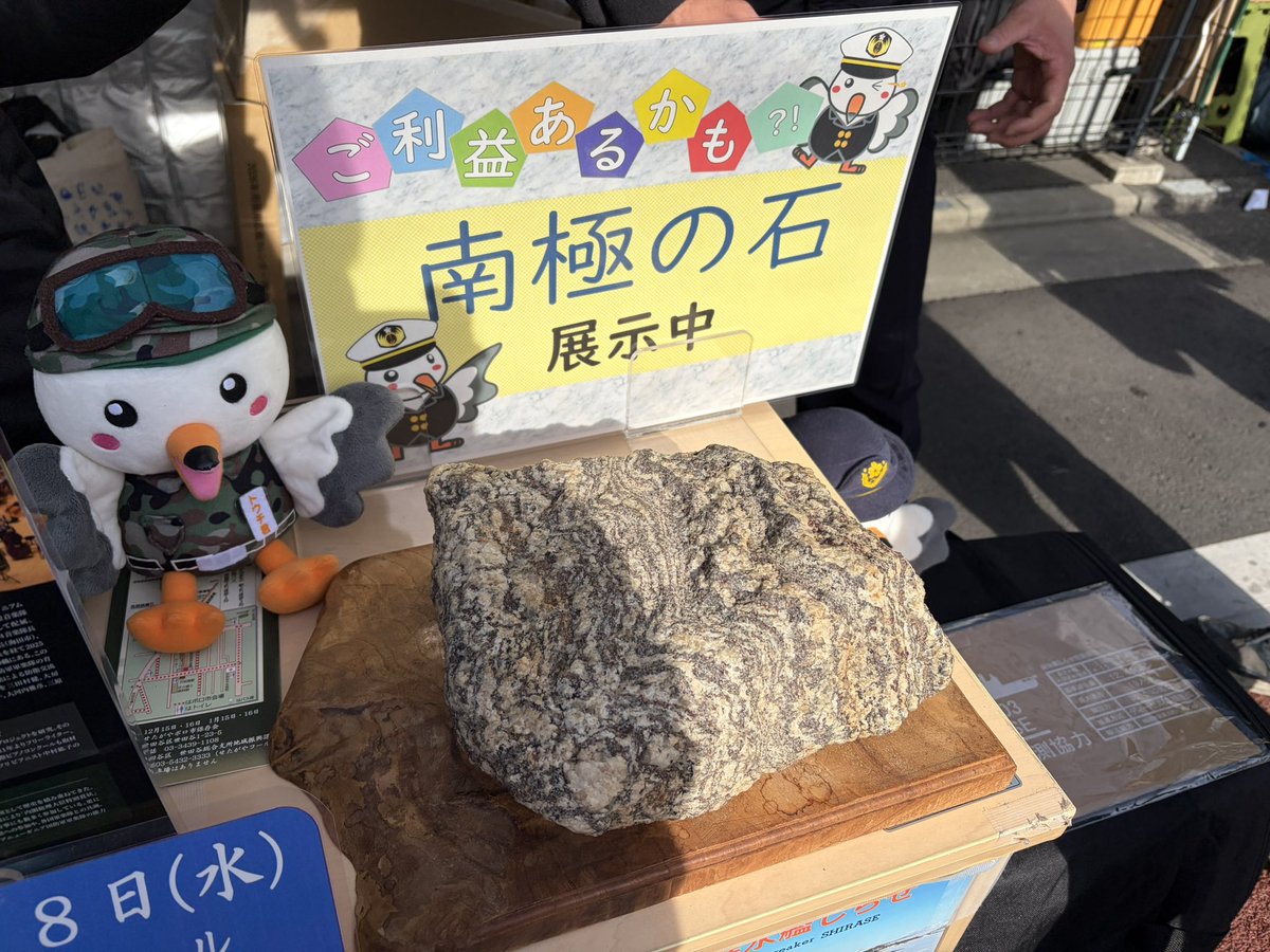 南極の石🪨触らせてもらった！めっちゃ重くて草