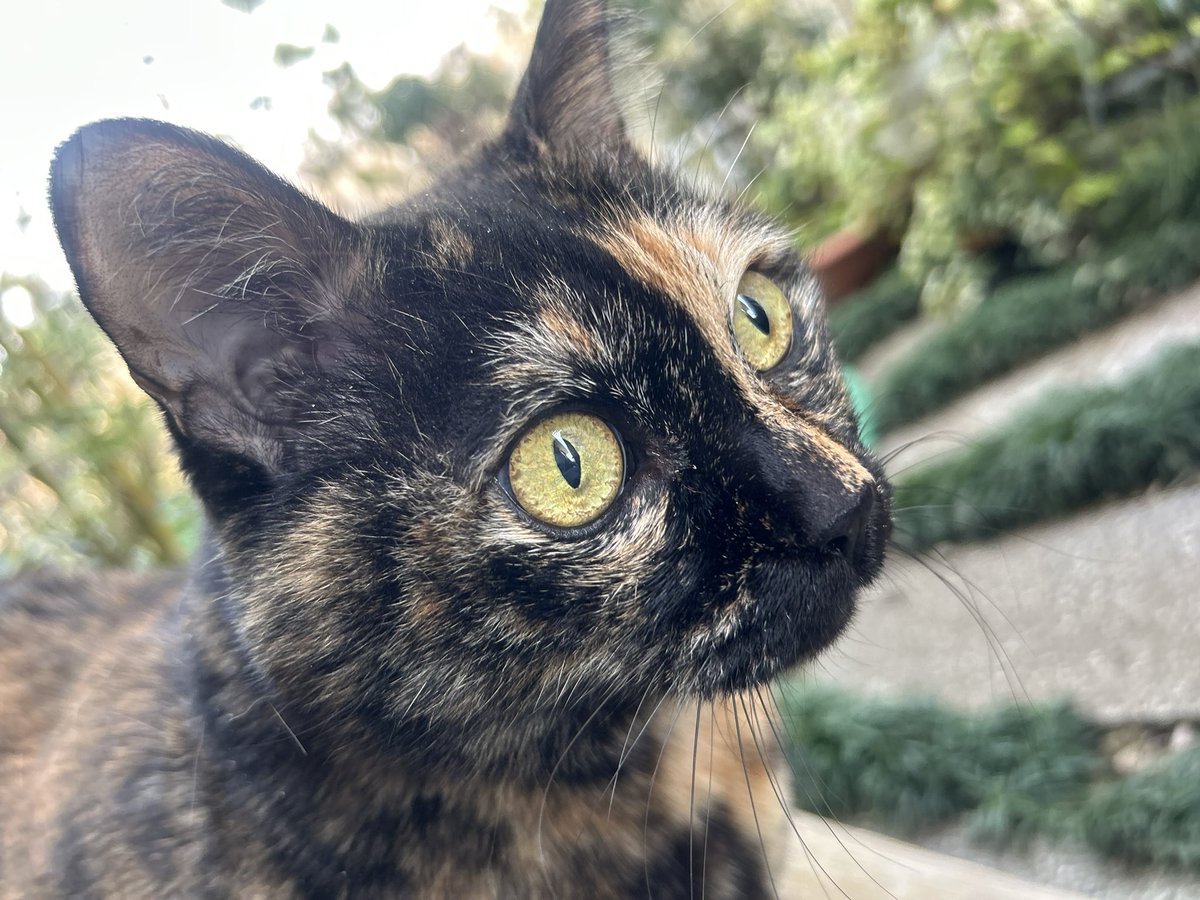 おみぃ子 (@mii19940705mii) / Posts / X