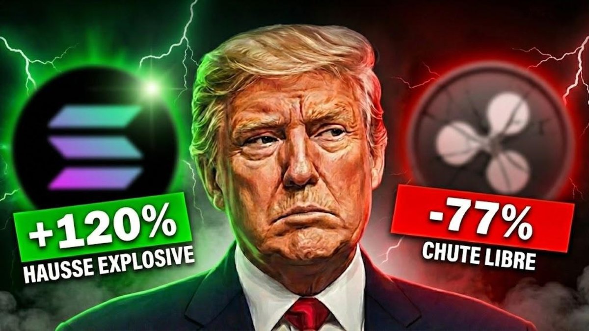 Le Trône Crypto ⚡ (@LeTroneFr) / Highlights / X