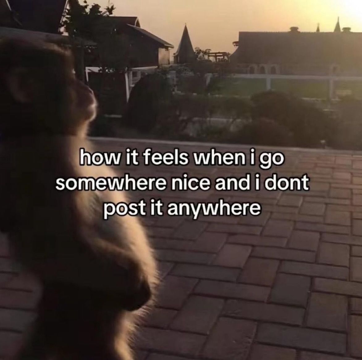 azfeelin's tweet image. 