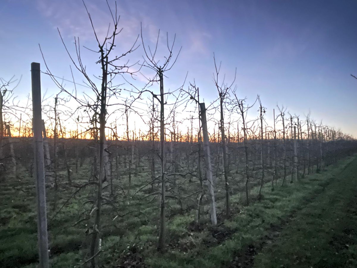 Great British Apples and Pears tweet media