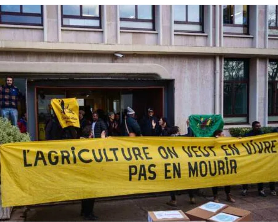 Une cinquantaine d'exploitants ont été placés en garde à vue suite à une intrusion dans une annexe du ministère de l'agriculture.
Quelle efficacité!
On aimerait surtout autant d'efficacité lorsque des "jeunes" sèment le chaos dans nos rues.
Merci.