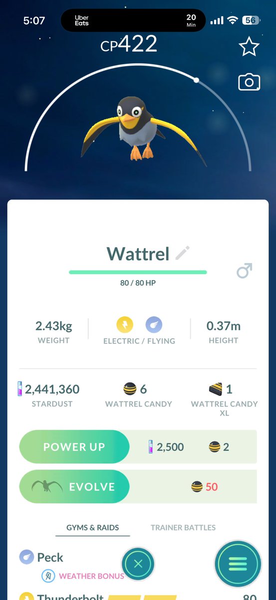 chaospixie6667's tweet image. This thing is sooo cute #newpokemon #Pokemon #PokemonGO
