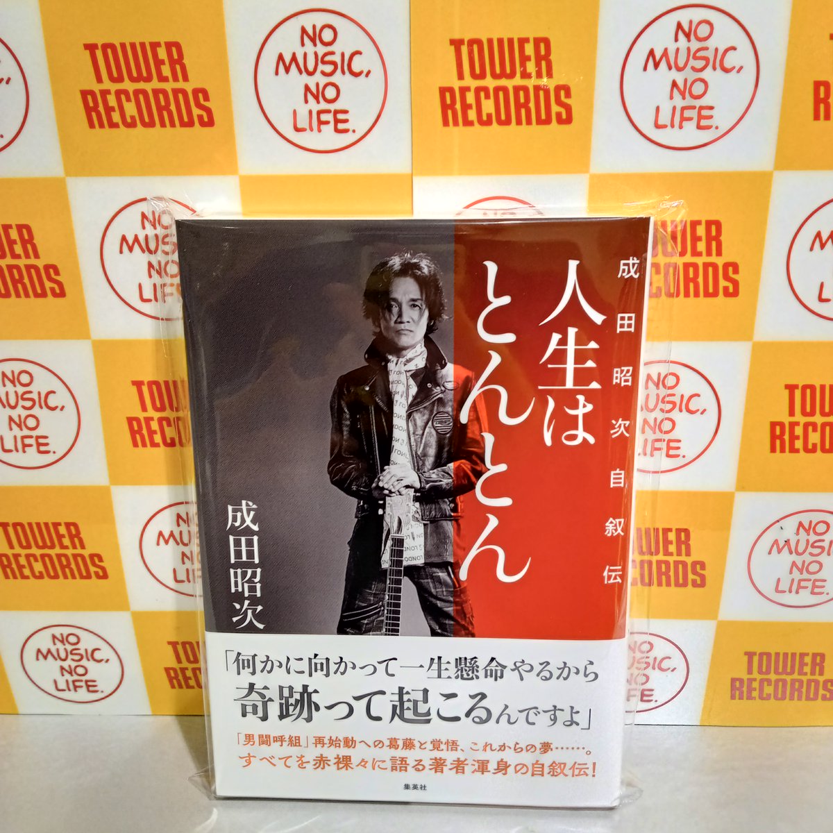 会報11冊セット 成田昭次